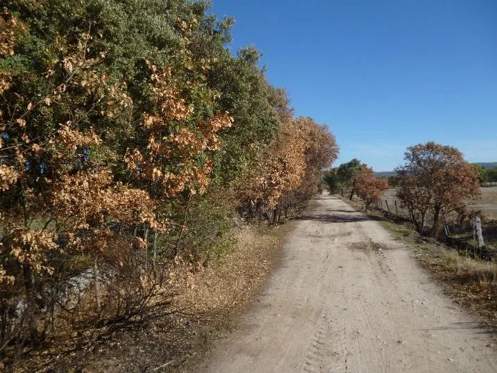 Route afbeelding slider