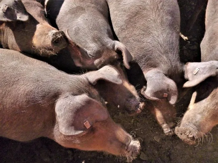 Route afbeelding slider