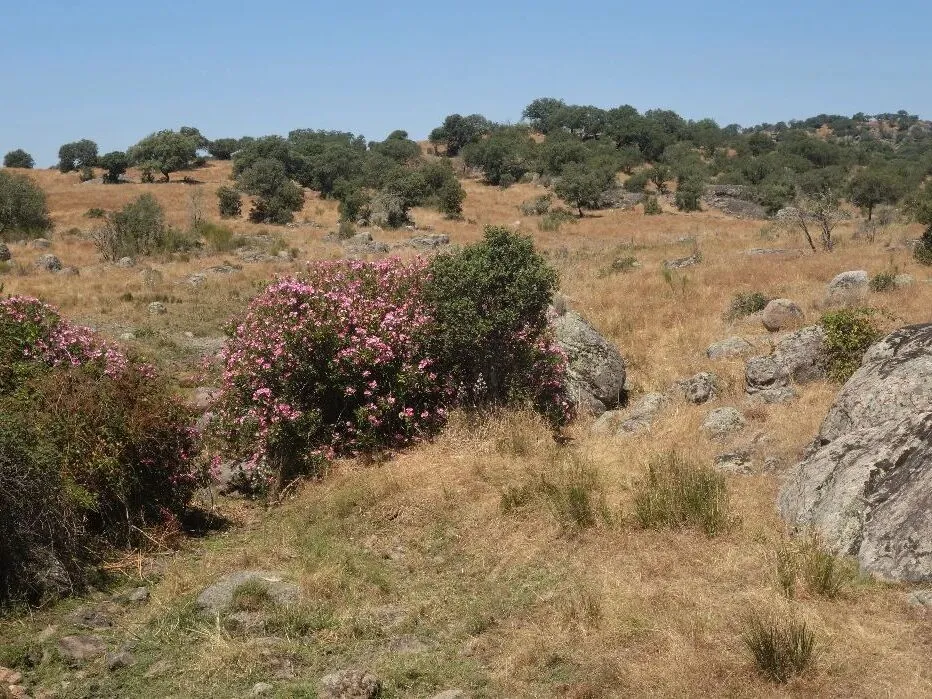 Route afbeelding slider