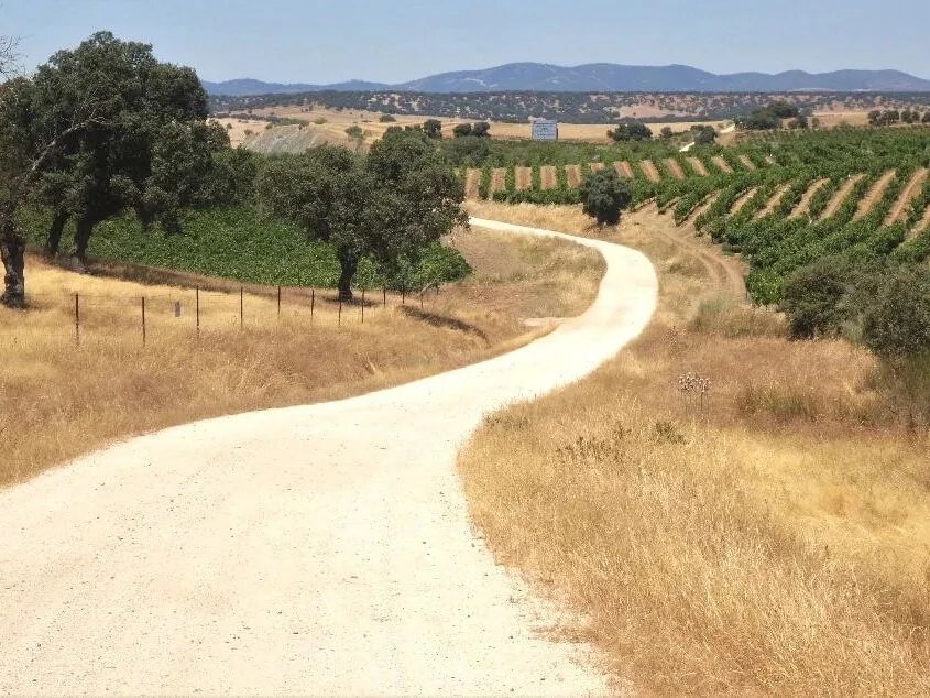 Route afbeelding slider