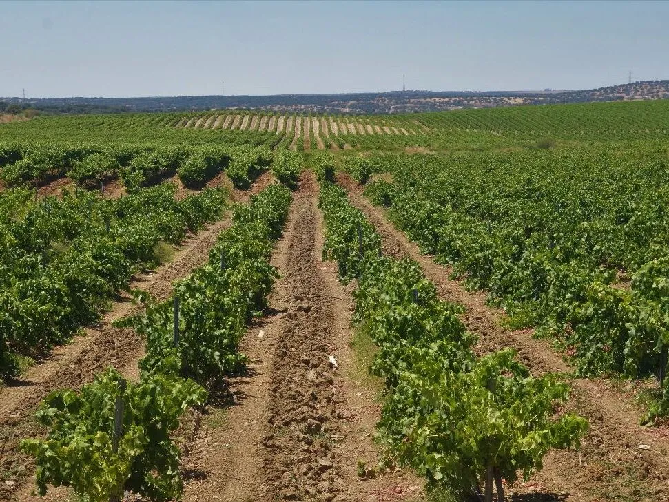 Route afbeelding slider