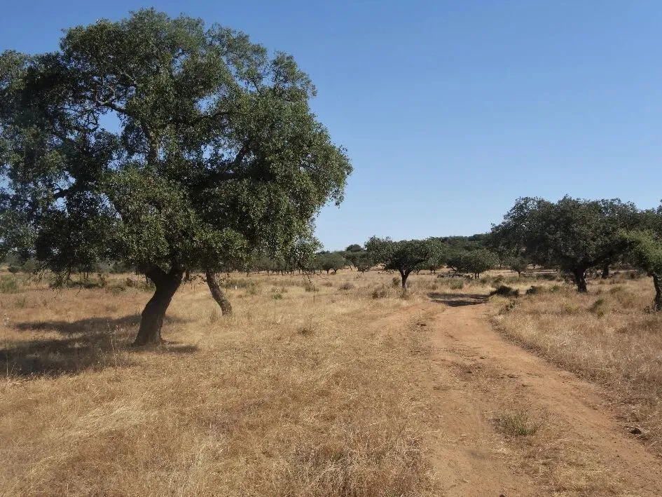 Route afbeelding slider