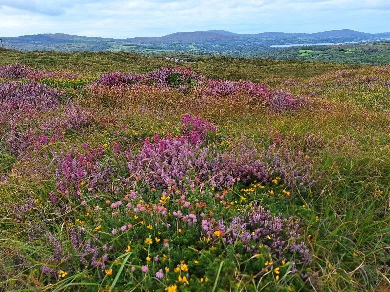 Route afbeelding slider