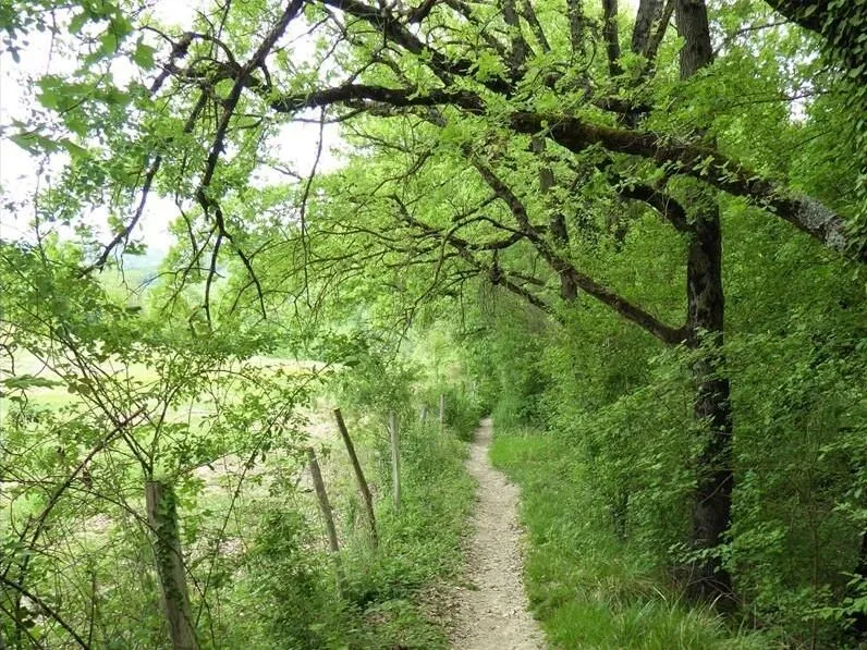 Route afbeelding slider