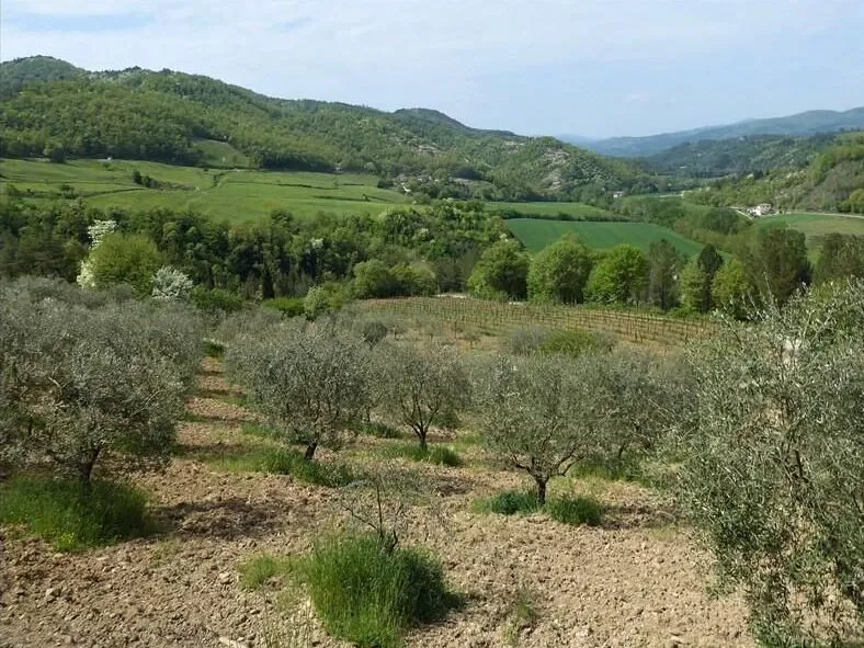 Route afbeelding slider