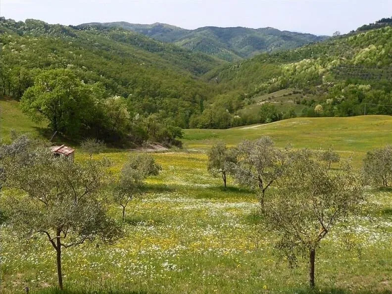 Route afbeelding slider