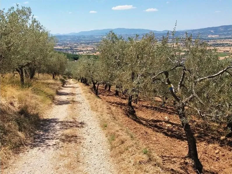 Route afbeelding slider