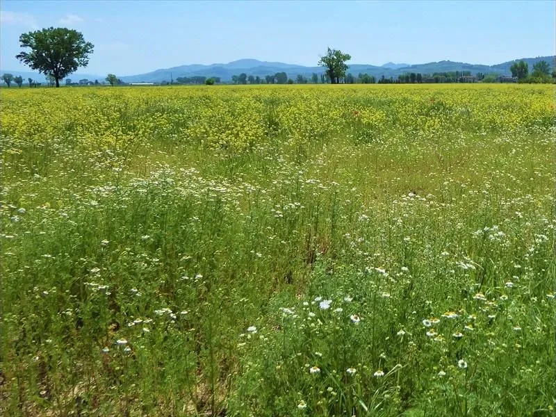 Route afbeelding slider