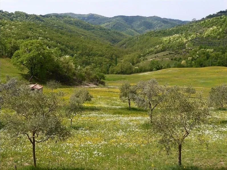 Route afbeelding slider