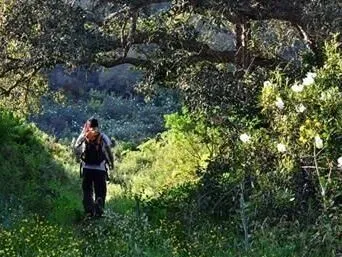 Route afbeelding slider