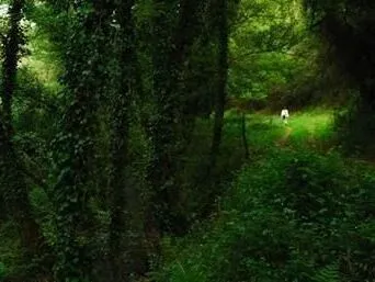 Route afbeelding slider