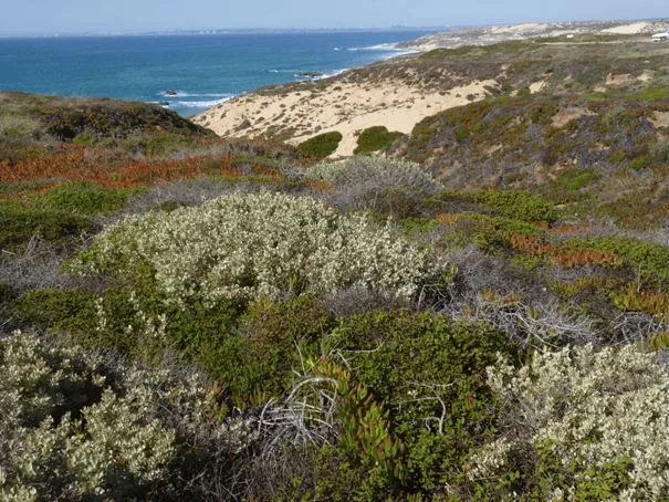 Route afbeelding slider