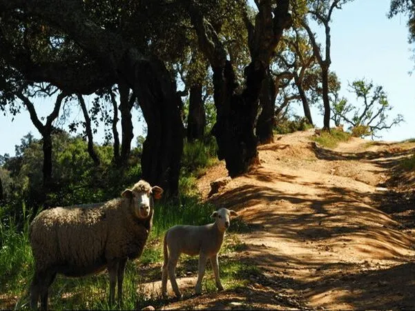 Route afbeelding slider