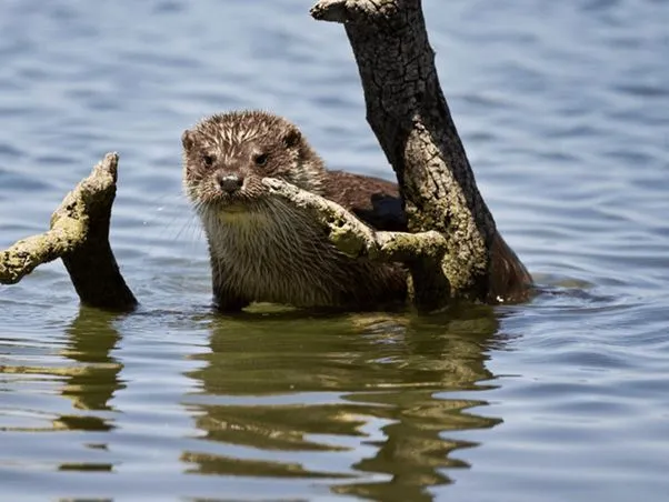 Route afbeelding slider