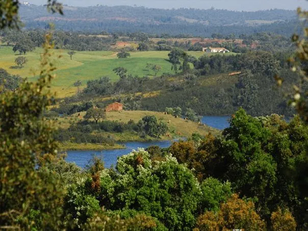 Route afbeelding slider