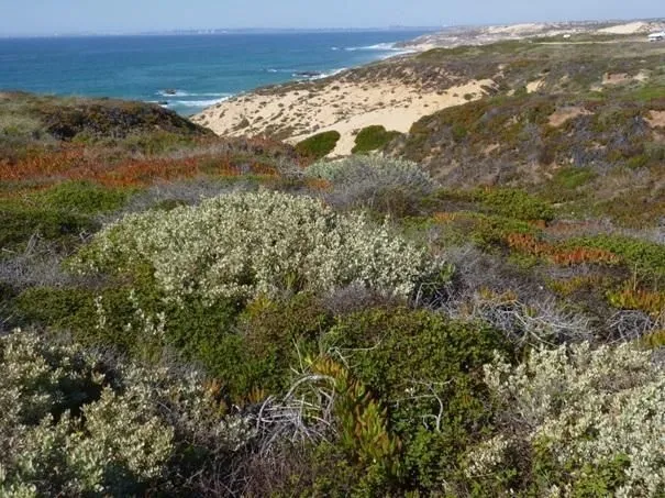 Route afbeelding slider