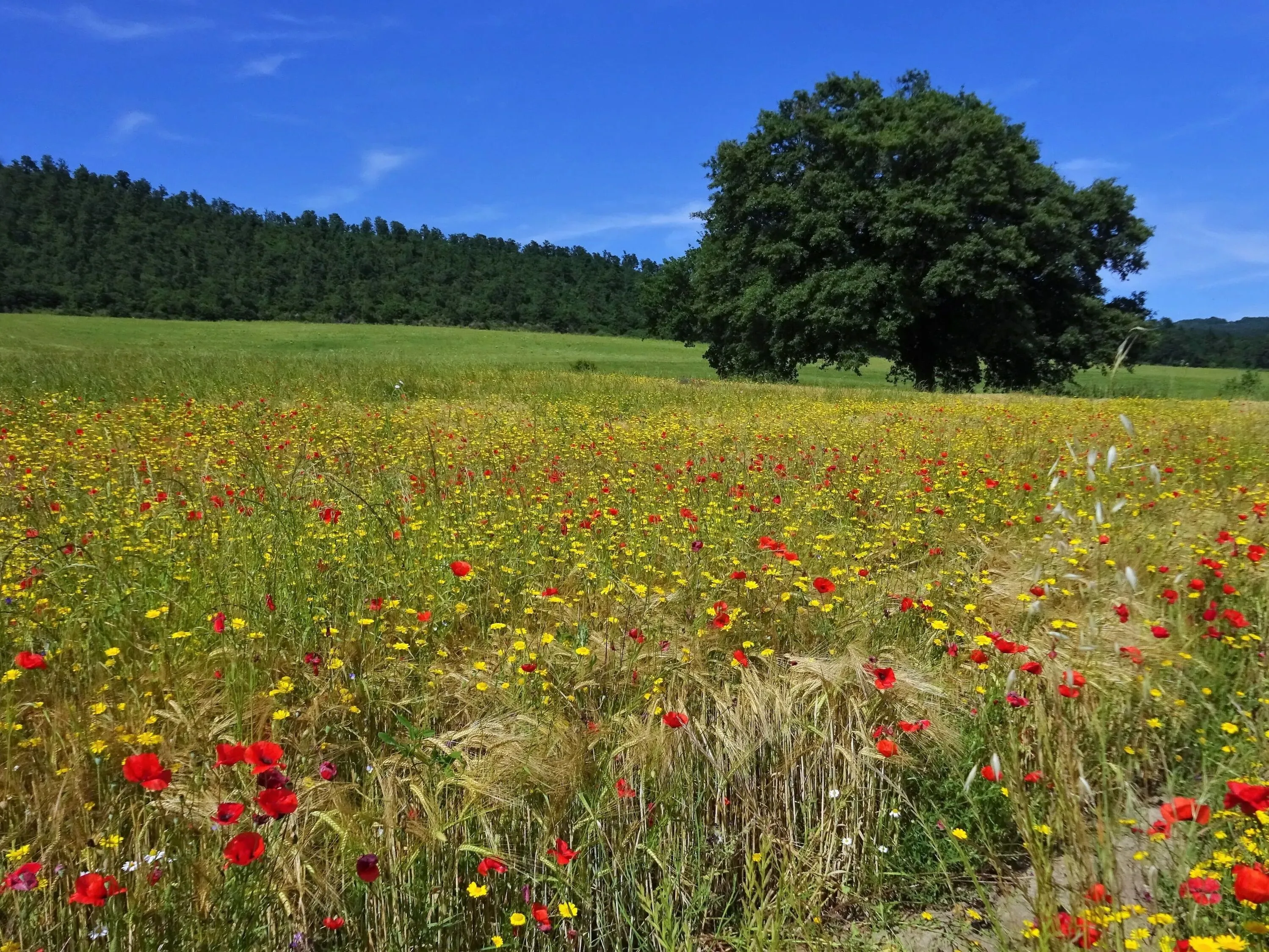 Route afbeelding slider