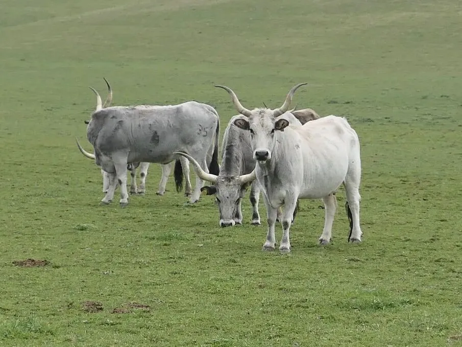 Route afbeelding slider