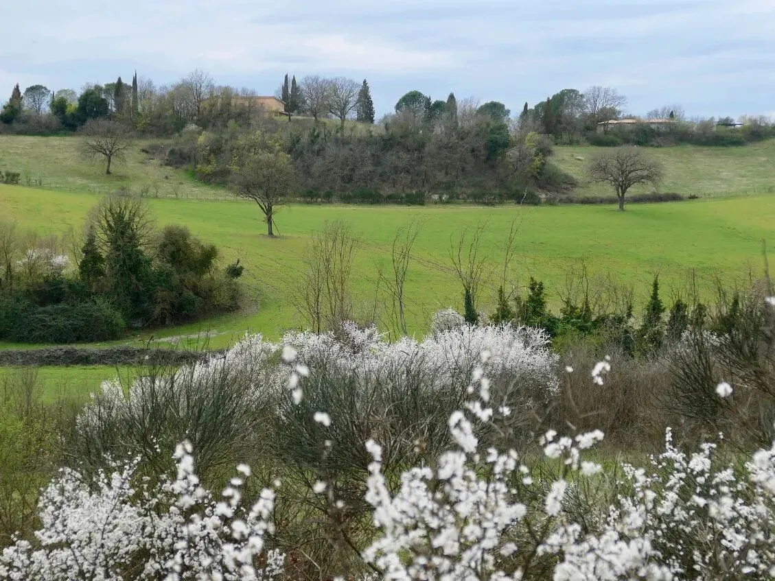 Route afbeelding slider