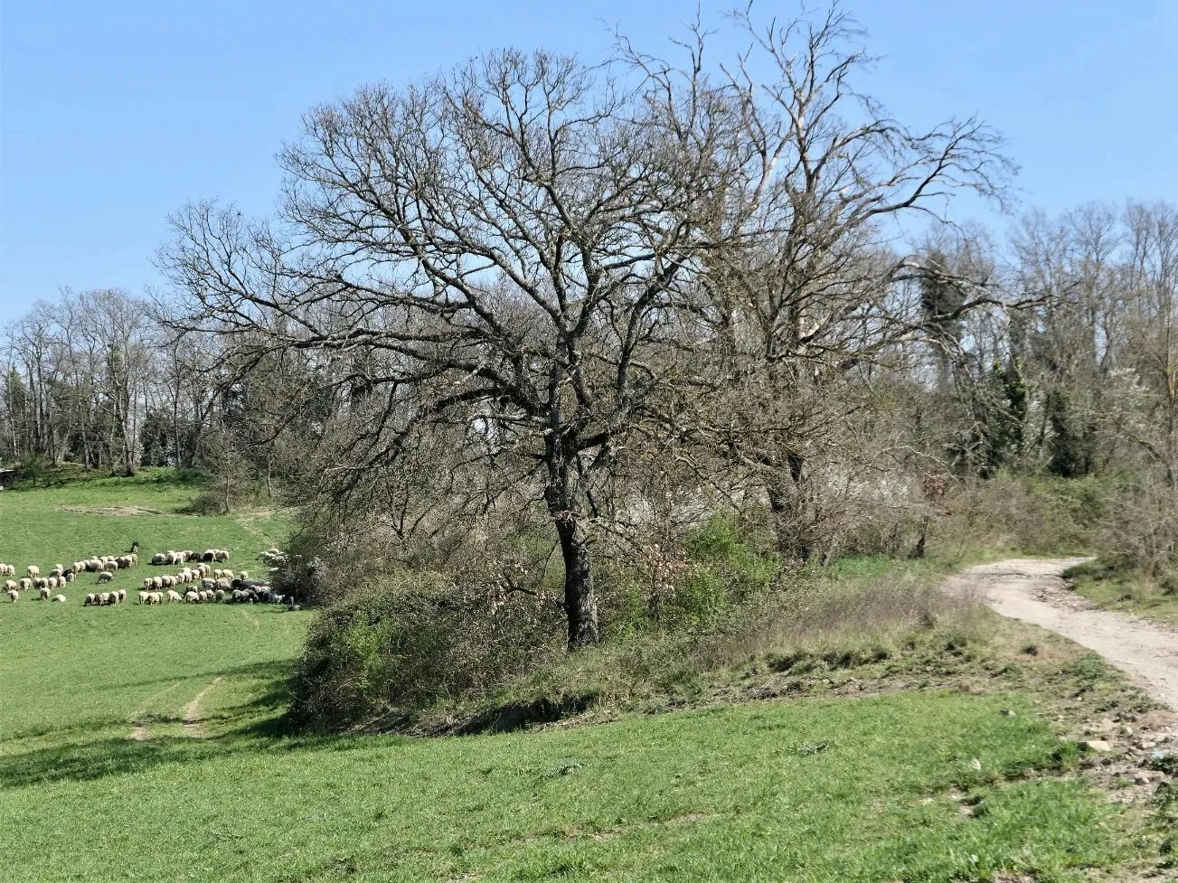 Route afbeelding slider