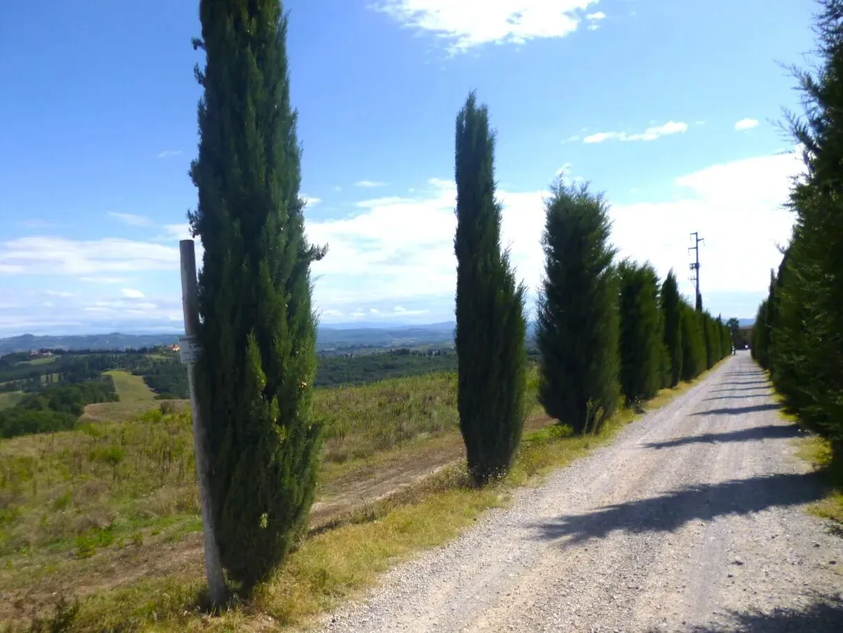 Route afbeelding slider