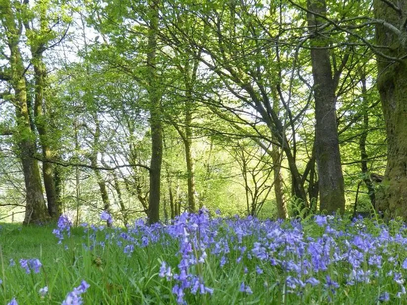 Route afbeelding slider