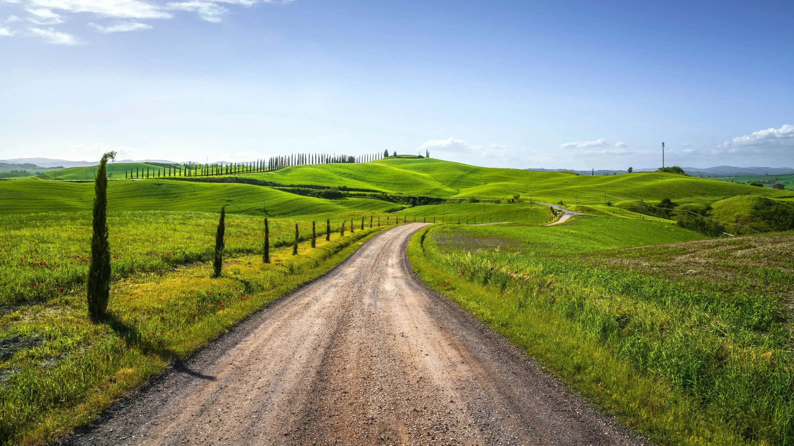 Full width afbeelding 1