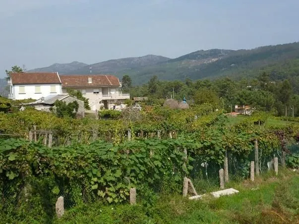 Route afbeelding slider