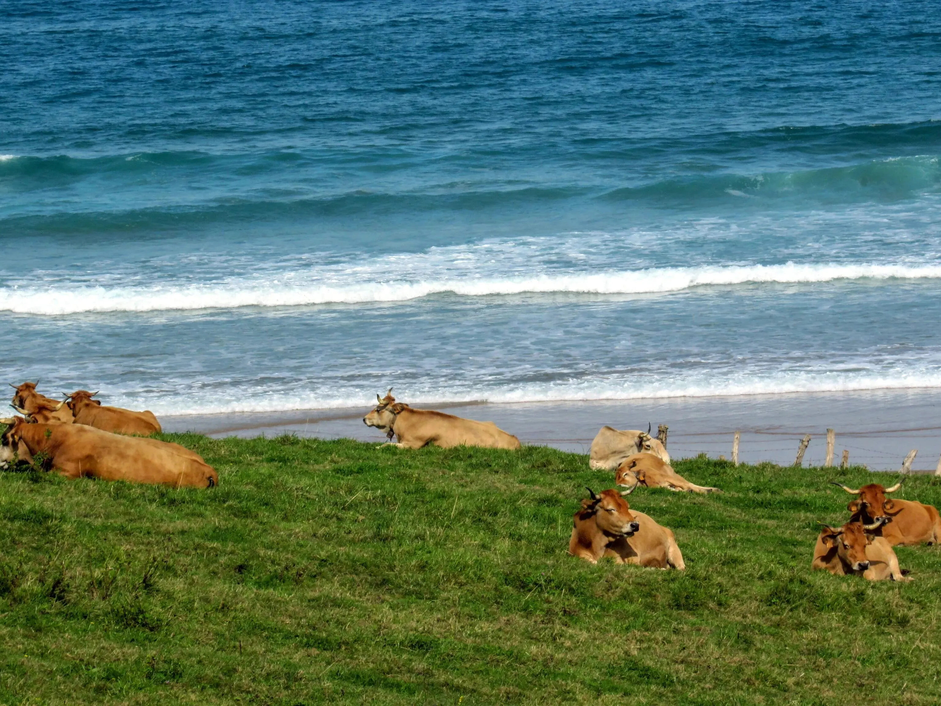 Route afbeelding slider