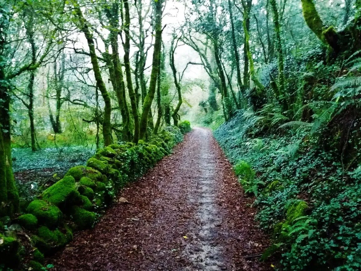 Route afbeelding slider