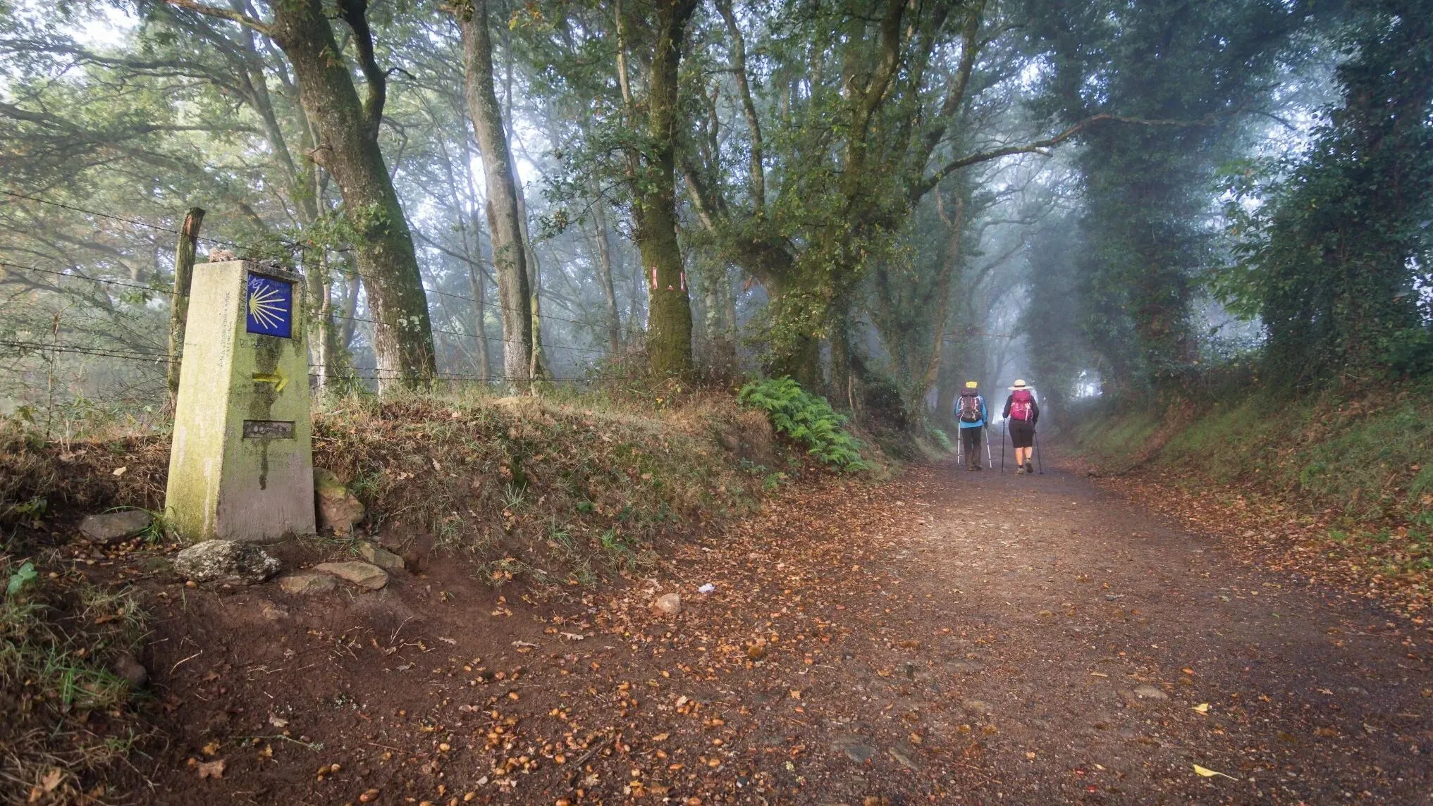 Full width afbeelding 1