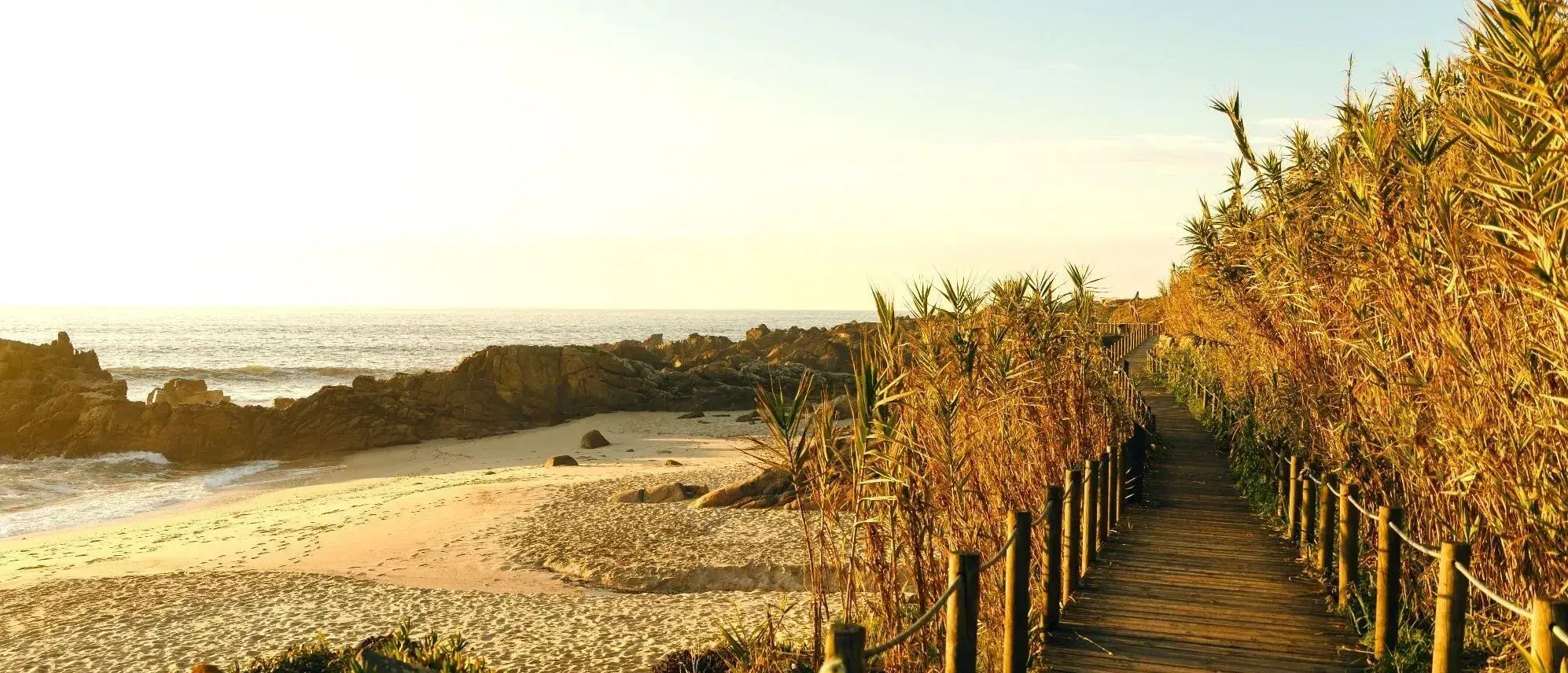 Camino Portugues - de Kustroute route afbeelding