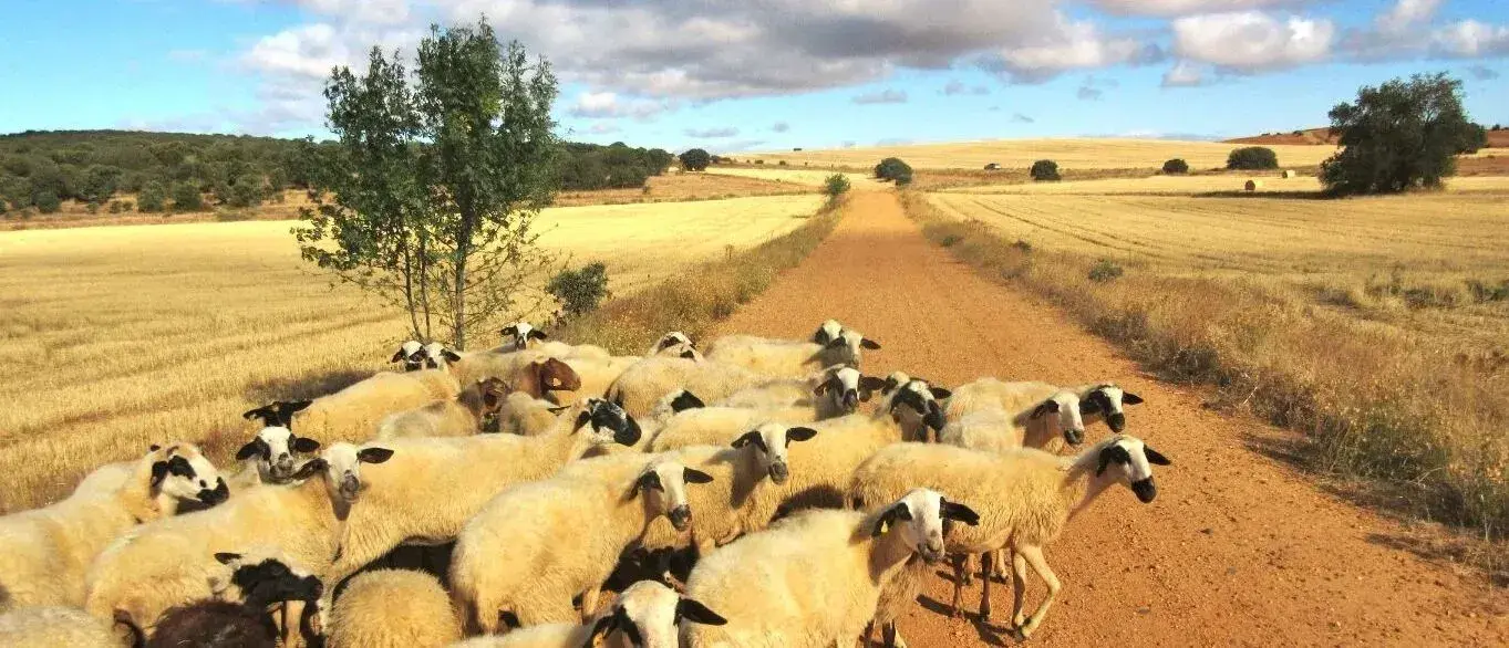 Via de la Plata route afbeelding