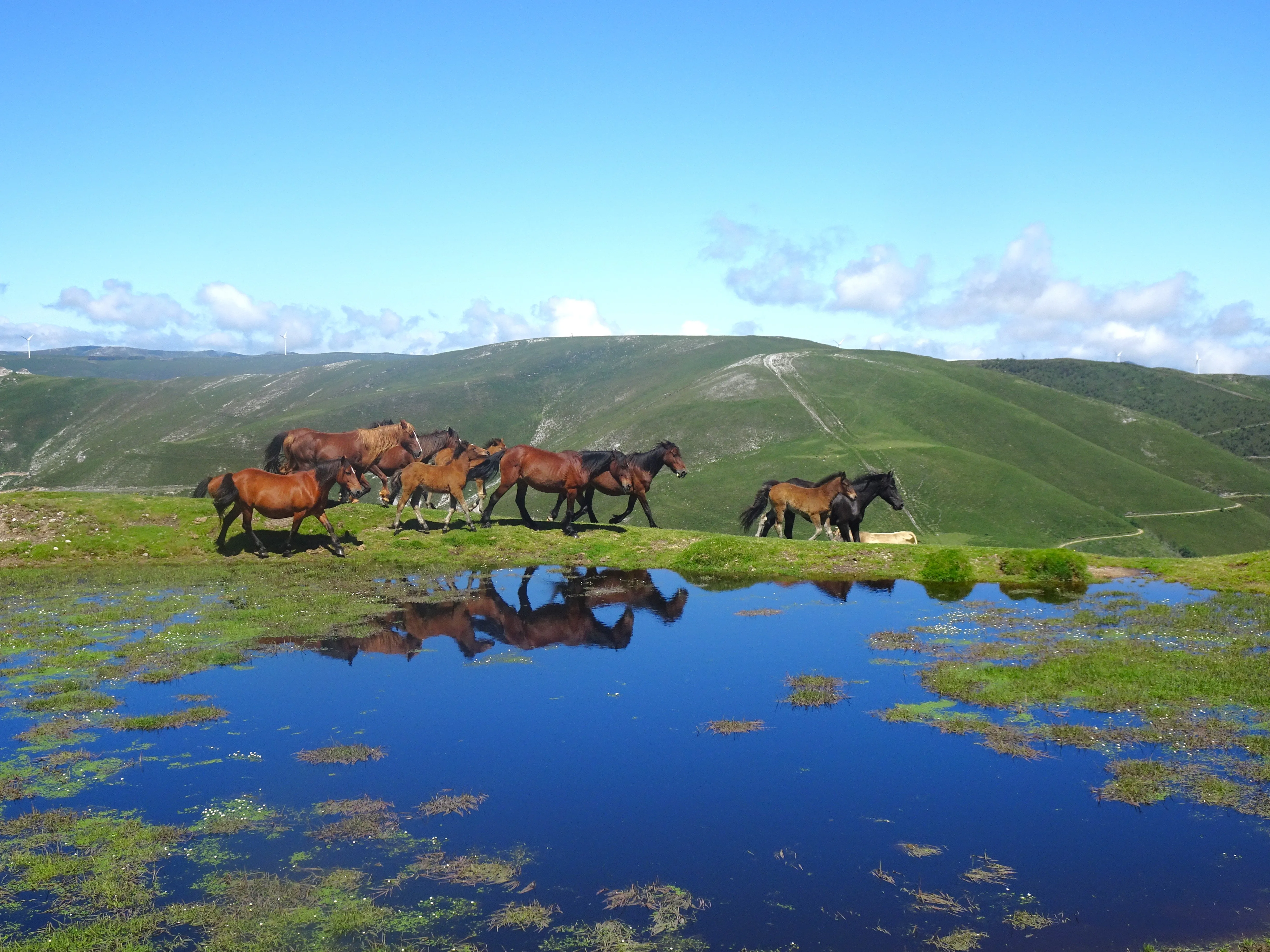 Oviedo – Lugo route afbeelding