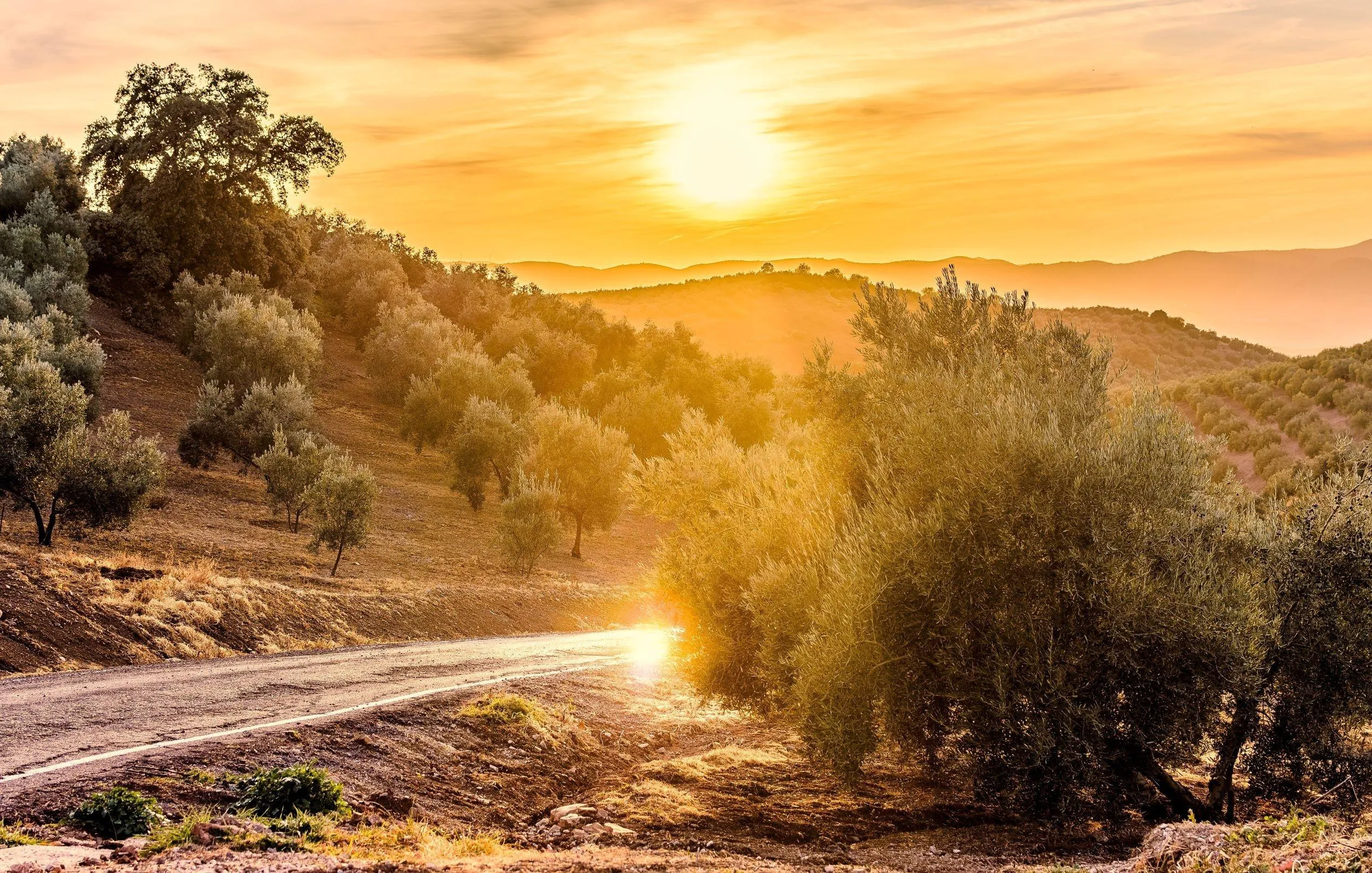 Route afbeelding slider