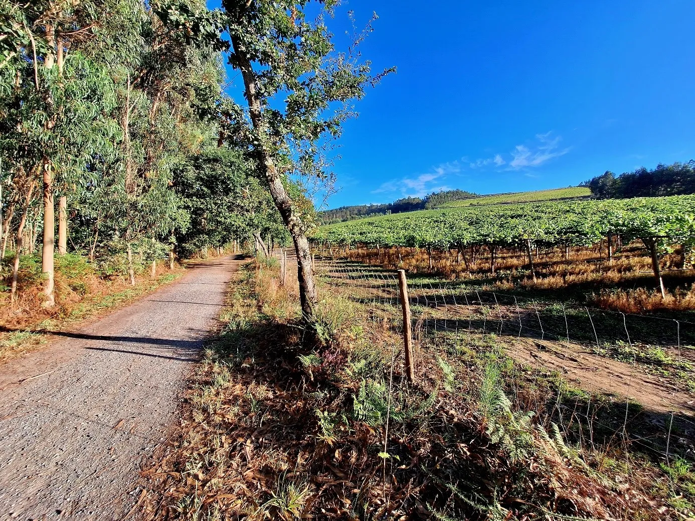 Route afbeelding slider