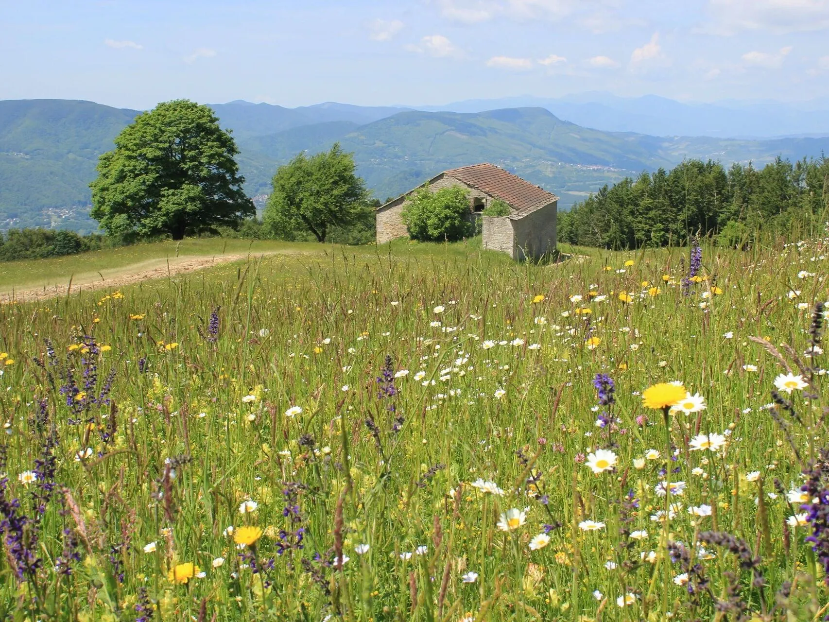 Route afbeelding slider