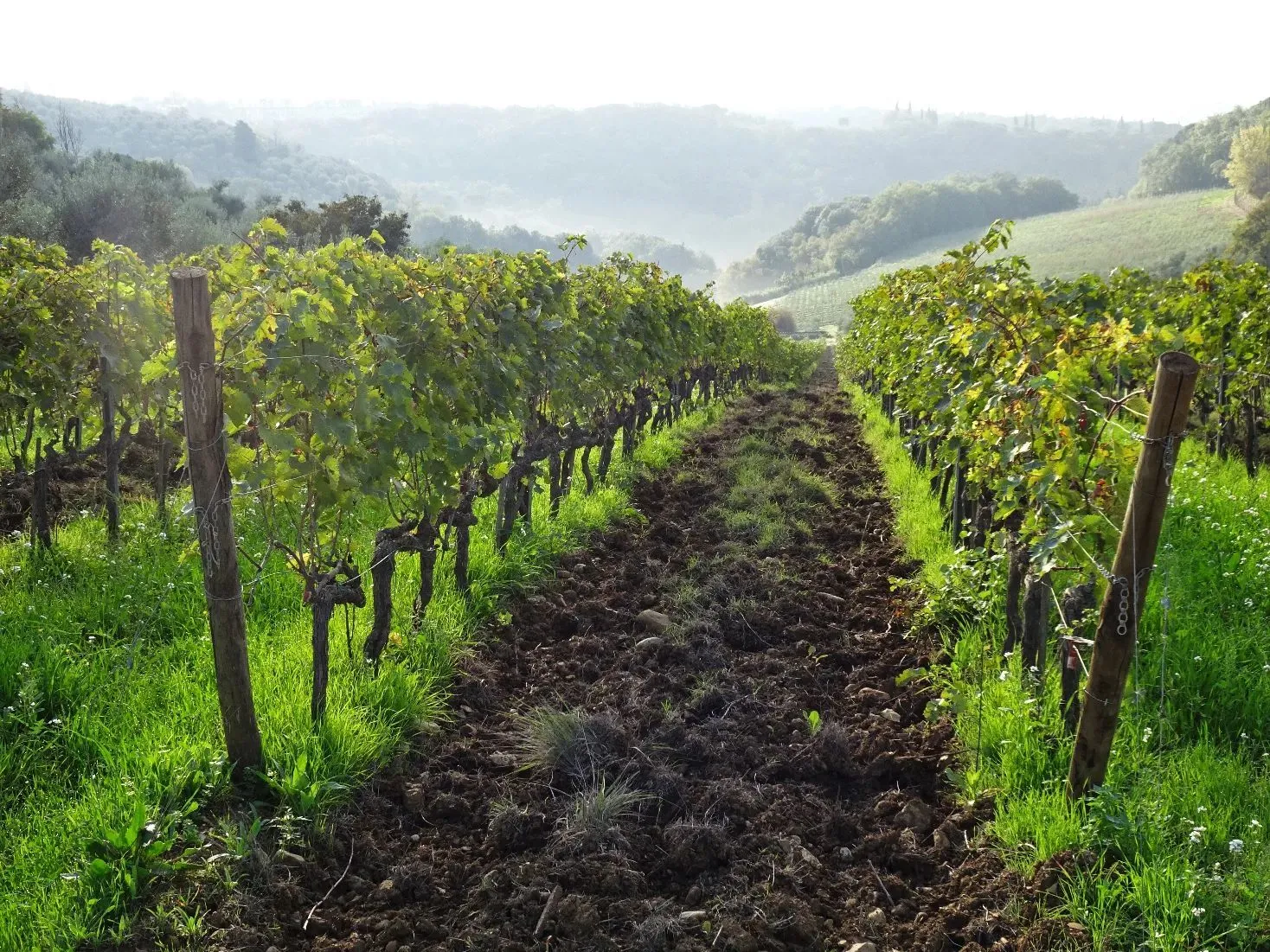 Route afbeelding slider