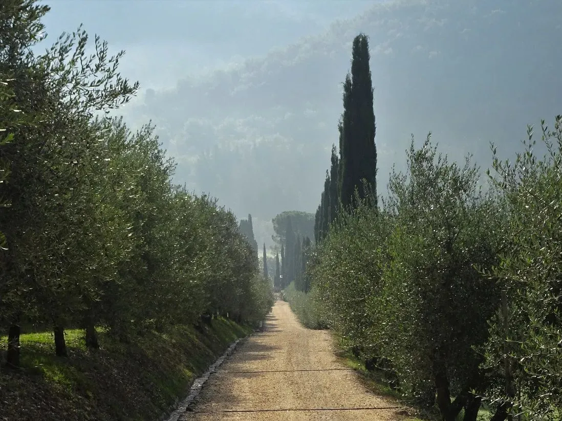 Route afbeelding slider