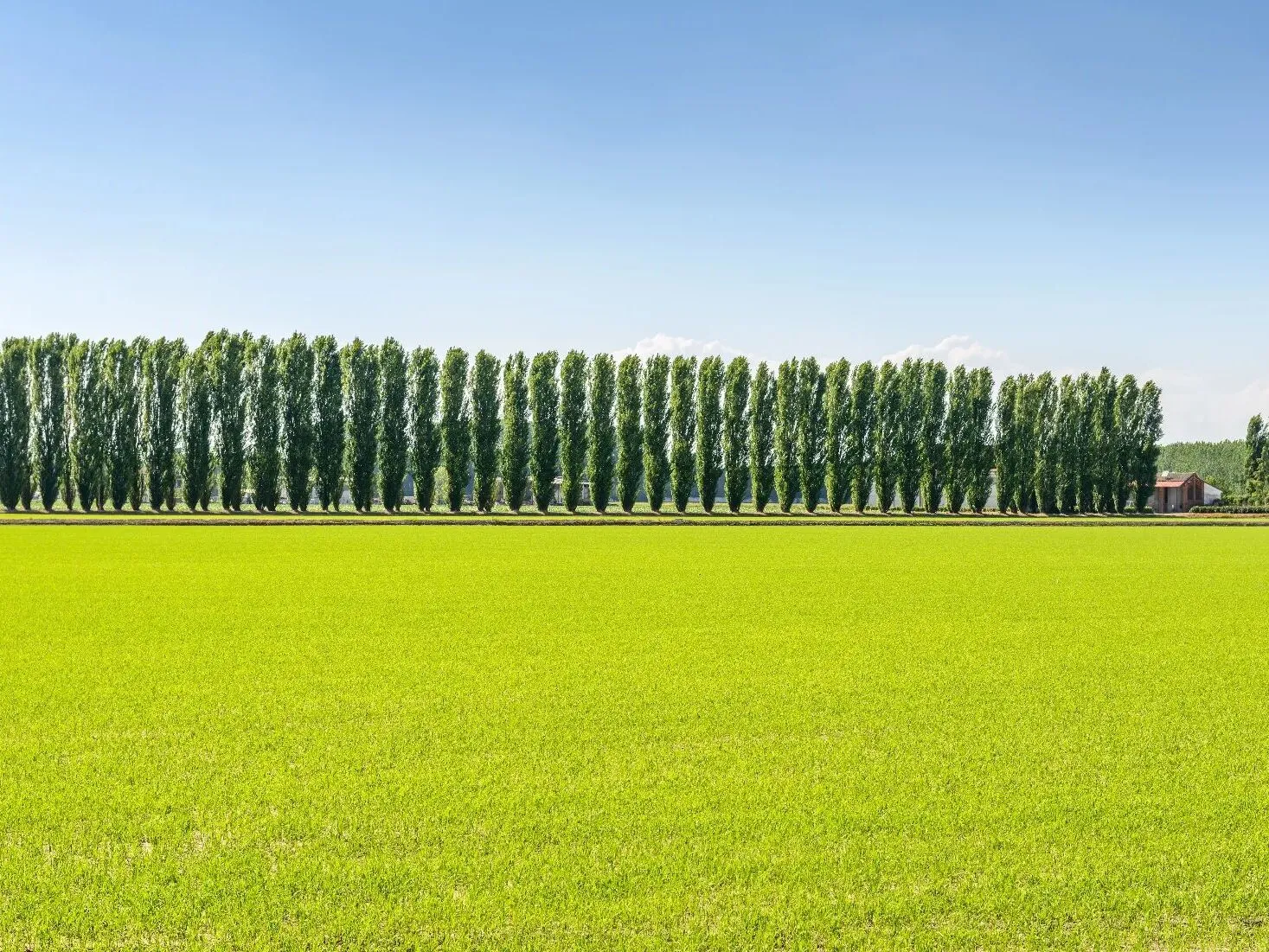 Route afbeelding slider