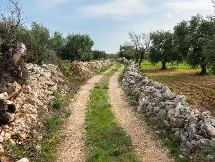 Route afbeelding slider