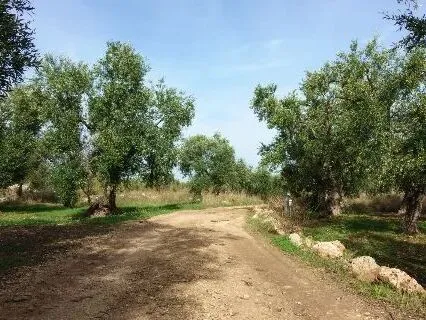 Route afbeelding slider