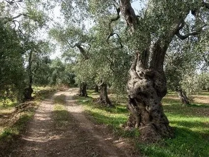 Route afbeelding slider