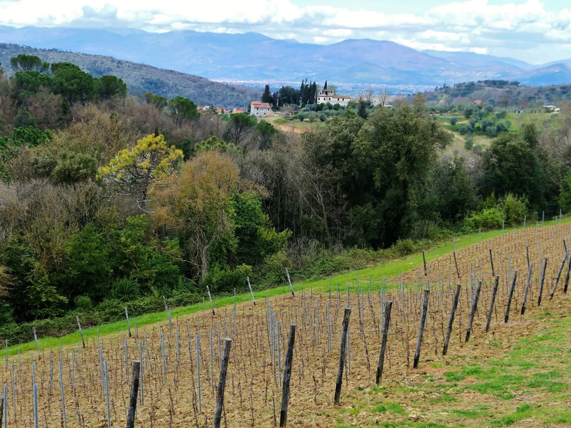 Route afbeelding slider