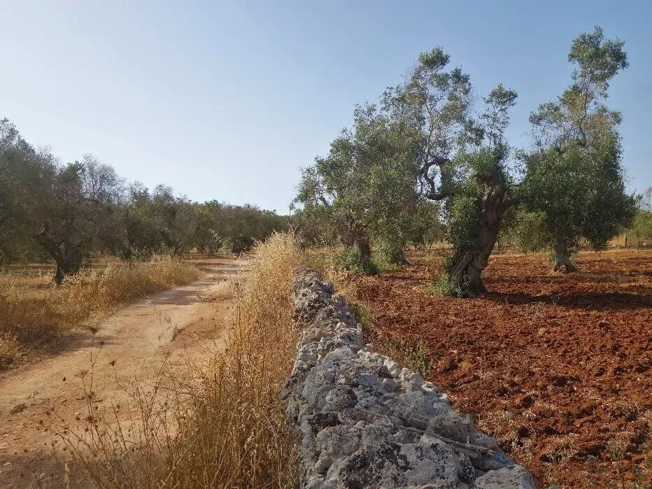 Route afbeelding slider