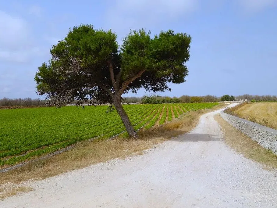 Route afbeelding slider