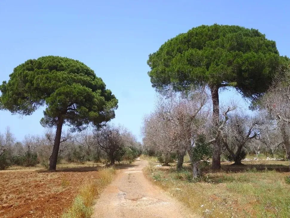 Route afbeelding slider