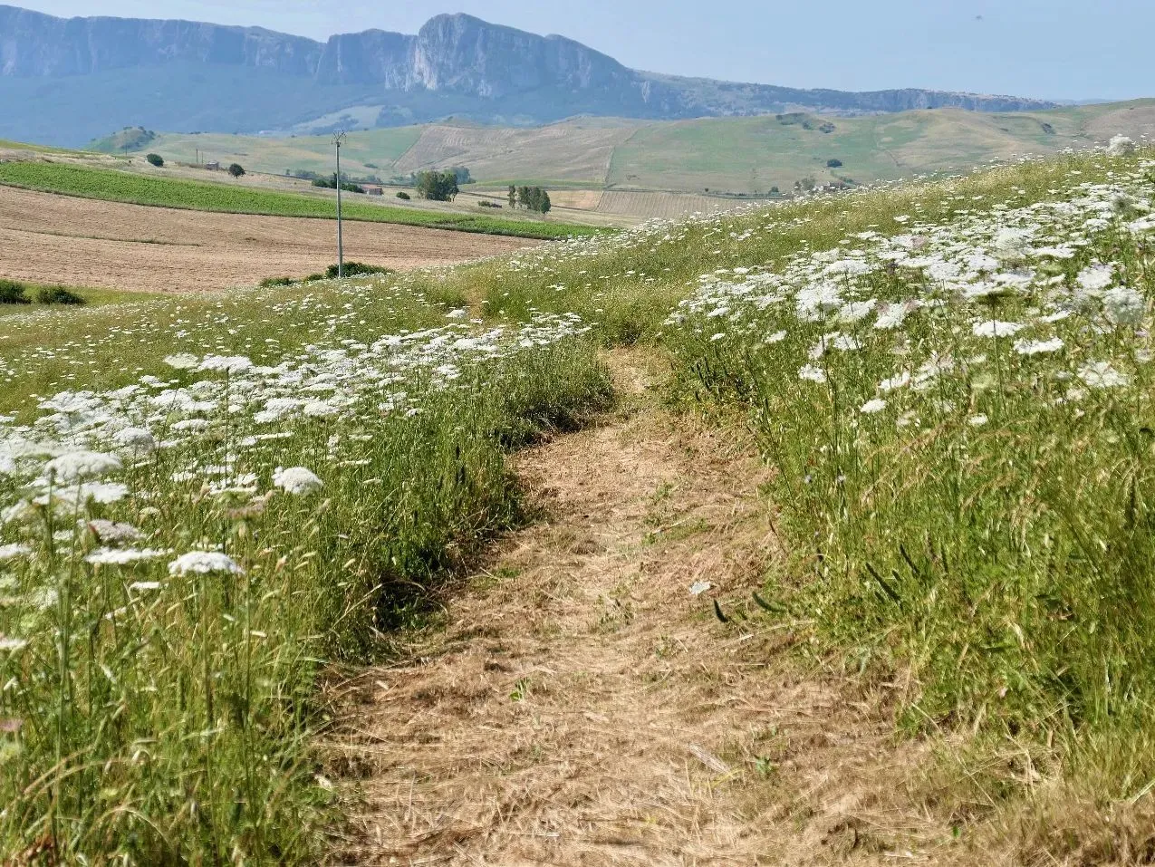 Route afbeelding slider