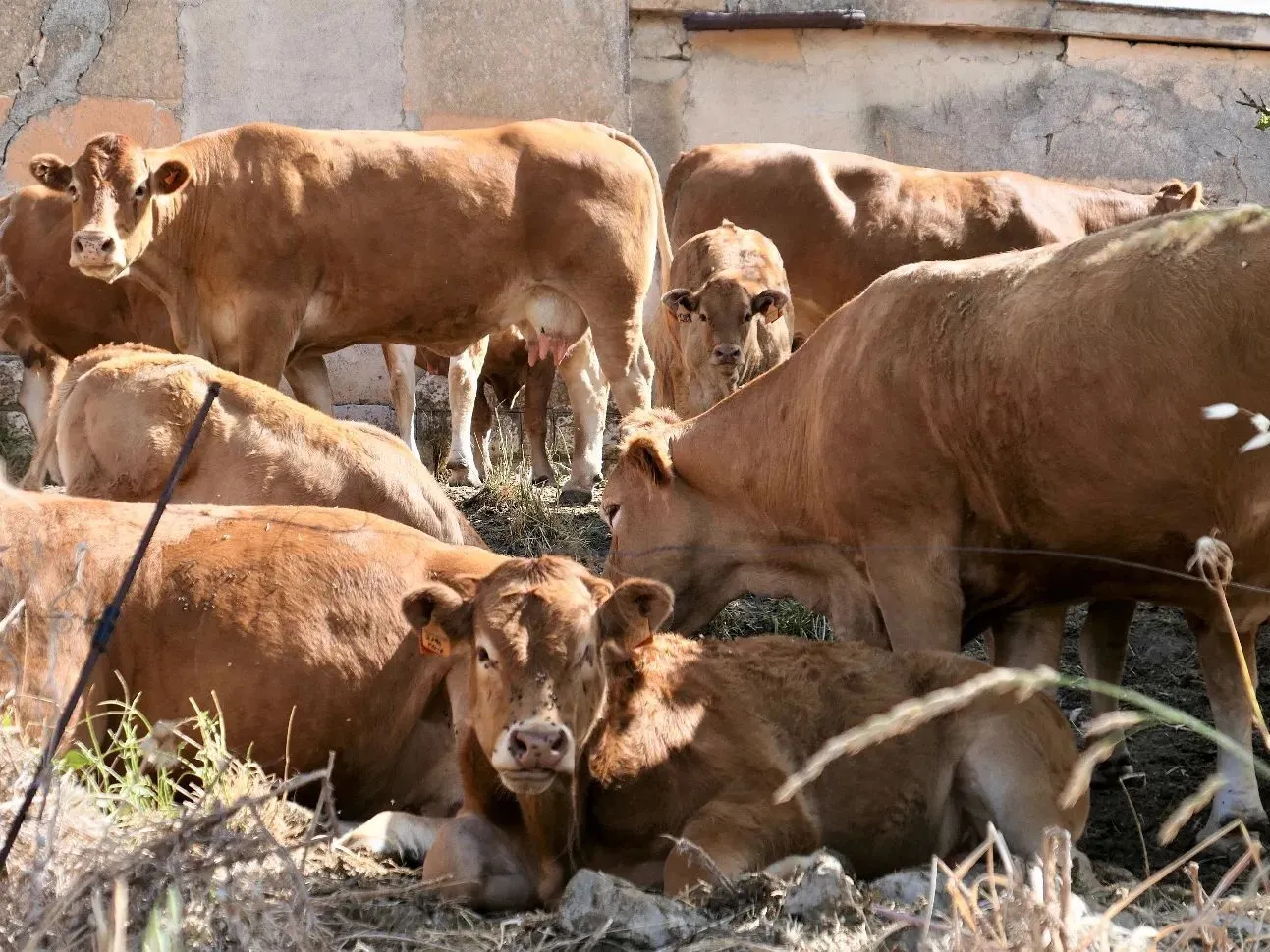 Route afbeelding slider