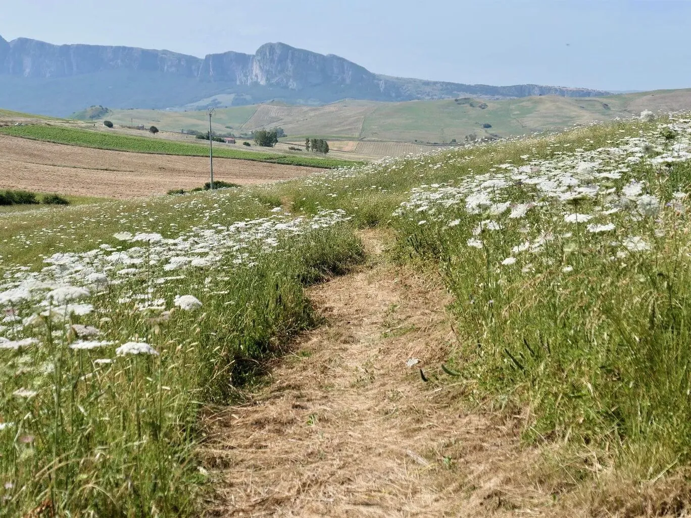 Route afbeelding slider